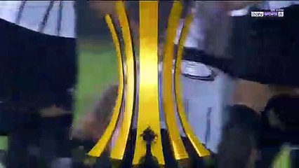 Libertad vs Rosario Central 2-0 All Goals & Highlights