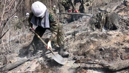 군, 산불 진화 작전...장비·병력 총력 지원 / YTN