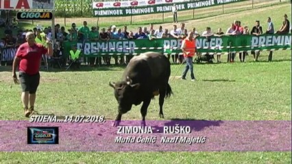RUSKO ZIMONJA STIJENA CAZIN 2018 MAJETICI POBJEDNICI