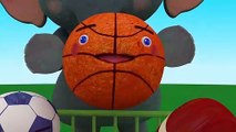 Sports Ball Song | CoCoMelon Nursery Rhymes & Kids Songs