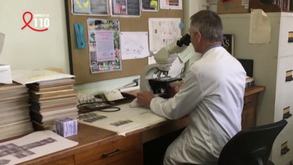 Sans frontières - Londres : un laboratoire contre le bois illégal