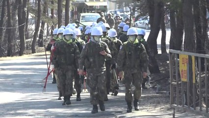 군, 산불 진화 작전...장비·병력 총력 지원 / YTN