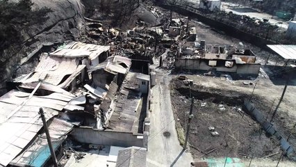 최악 강원 산불...건조경보에 태풍급 강풍 / YTN