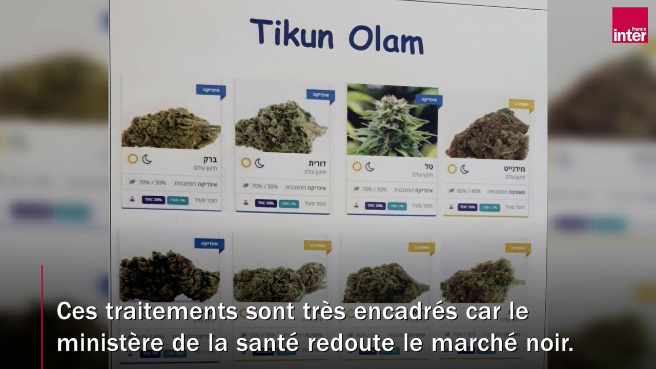 Cannabis thérapeutique : les promesses de l'herbe