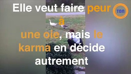 Elle veut faire peur à une oie mais le karma en décide autrement !