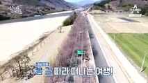 [예고] #십리벚꽃길 벚꽃 따라 떠나는 봄맞이 여행!