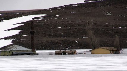 Su altında kalan köyde güzel görüntüler oluştu - KARS