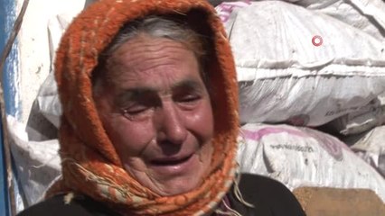 Telef Olan İneği İçin Gözyaşı Döken Sabiha Nine 'Acı ve Çaresizliğin' Yüzü Oldu