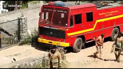 Indian officials flood water tank to rescue stranded bison calf