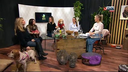 Animal Diaries - S07E25