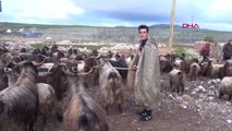 Mardin Çoban Barış, İlk Kez Oy Kullandığı Seçimde Muhtar Oldu -