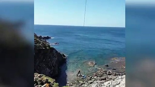 Del mar al cielo: una asombrosa vaca voladora