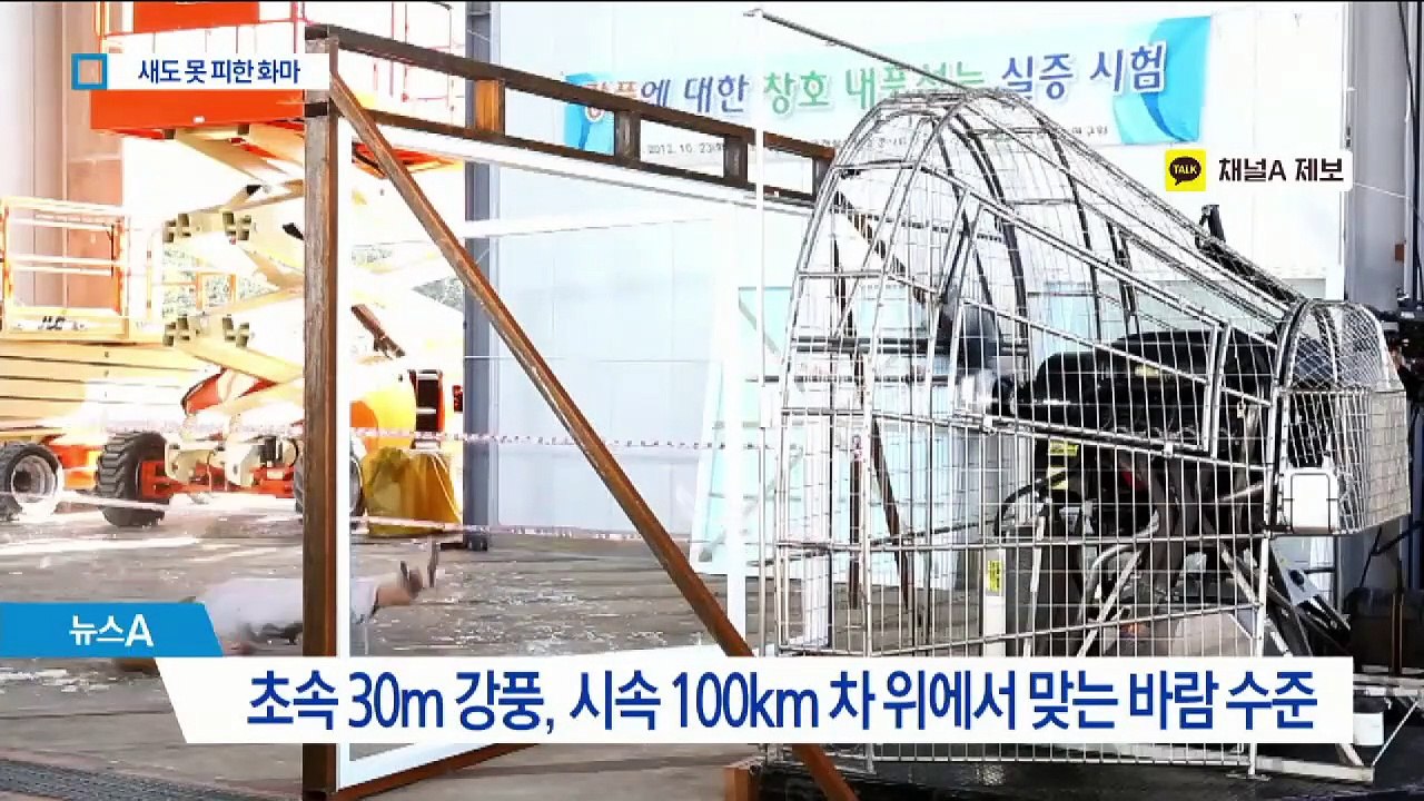초속 35m 강풍 타고 날아다닌 불씨…새도 못 피했다