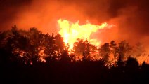 Coreia do Sul declara catástrofe por incêndio florestal