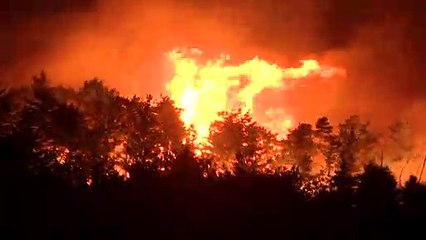 Coreia do Sul declara catástrofe por incêndio florestal