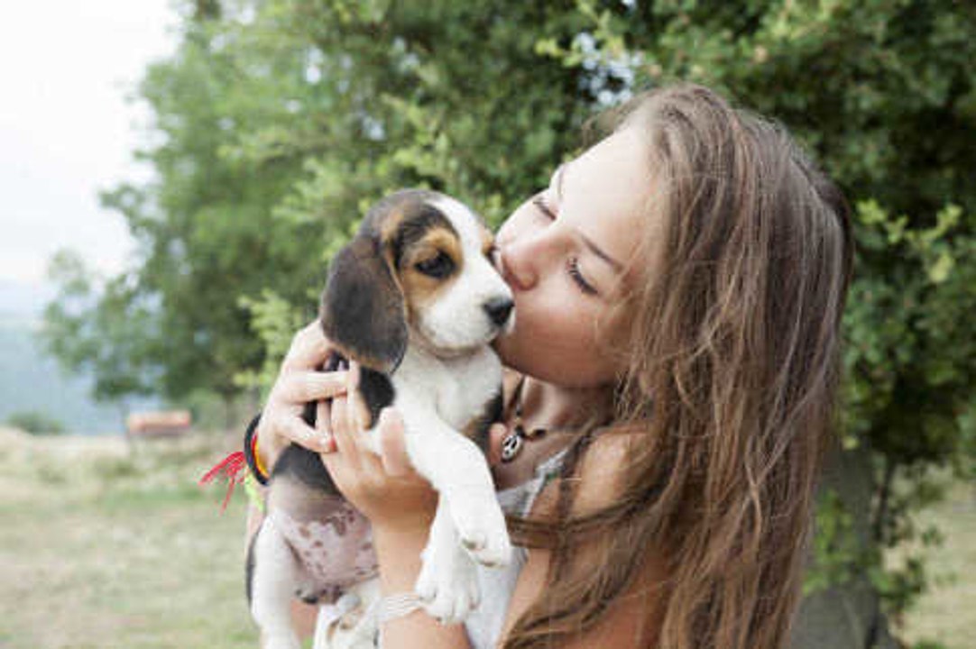 6 Lebensmittel, die nicht deinem Hund oder deiner Katze verfüttern solltest