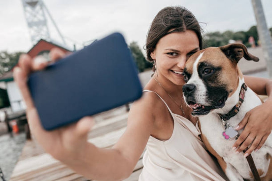 Ideen für Aktivitäten rund um deinen Hund: Er wird es lieben