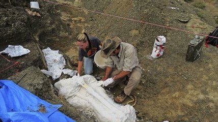 Des fossiles vieux de 66 millions d’années retrouvés aux États-Unis