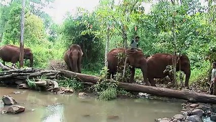 서대문출장안마 #R# 후불100%ョ｛Ø7Ø↔5222↔78Ø2카톡AA654｝서대문전지역출장마사지서대문출장안마서대문출장마사지'출장아가씨후기ョ♪출장마사지'후기출장모텔