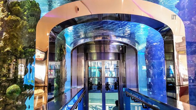 Une énorme fuite d'eau dans un gigantesque aquarium d'un centre commercial