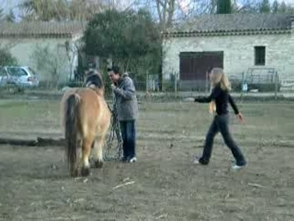 anne laure et voyou