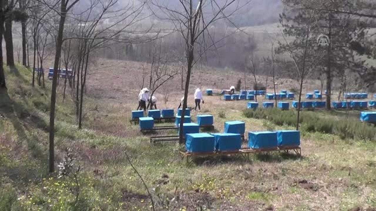 Denetimli Serbestlik Hükümlüleri Adaçayı Fidesi Dikti