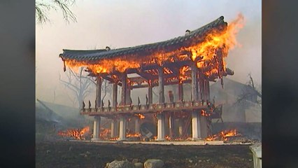 하필 식목일에...반복되는 4월 산불 비극 / YTN