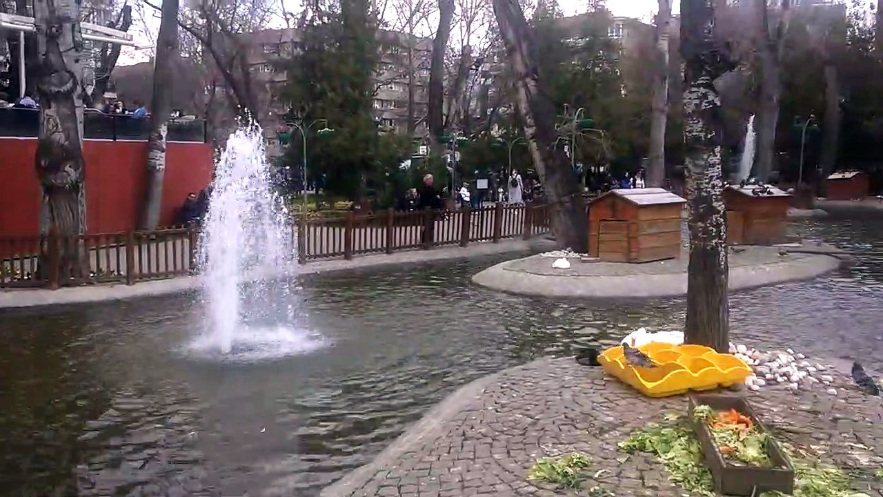 kuğulupark ve kuğu