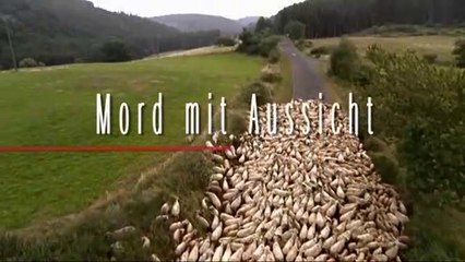 Mord mit Aussicht Staffel 1 Folge 5 - Waldeslust