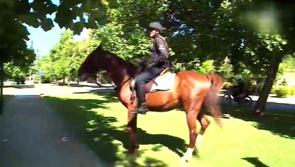 city tour 10 años, capítulo 05, temporada 2019 (05-04-19)