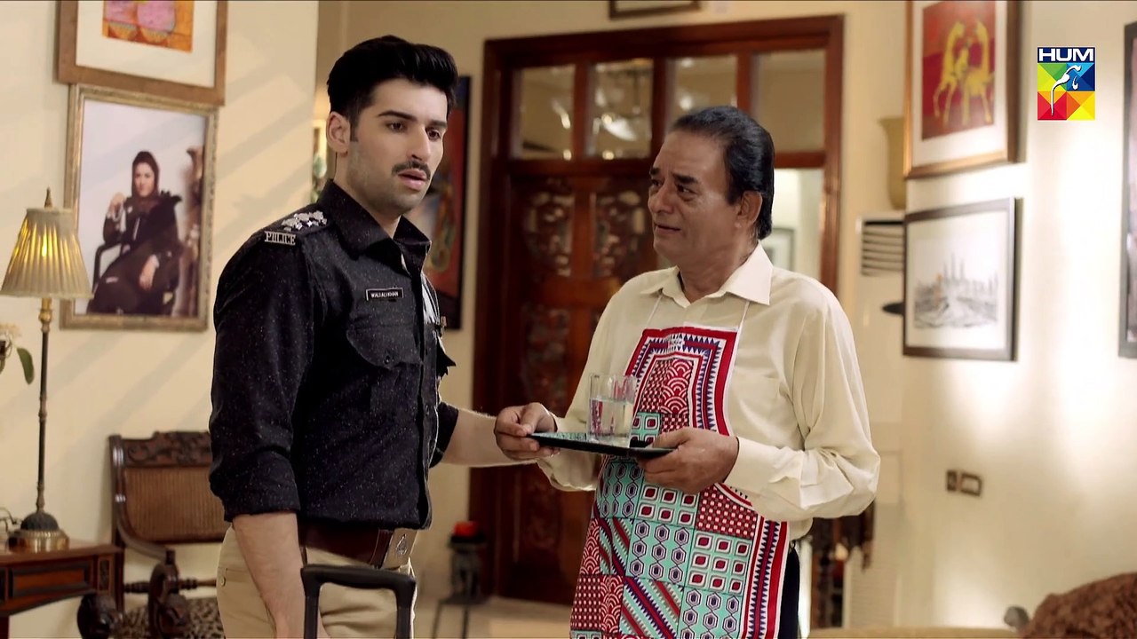 Baandi Episode #29 HUM TV Drama 5 April 2019