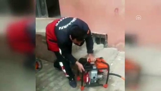 Pencereye sıkışan köpek itfaiye ekiplerince kurtarıldı - ŞANLIURFA