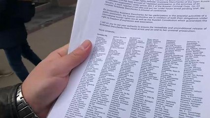 Дело Анастасии Шевченко: 28508 подписей