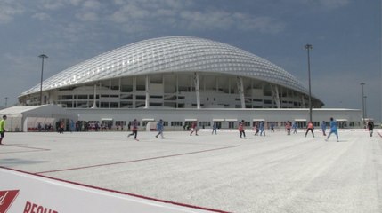 This Field Is Made From Recycled Beer Cups