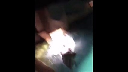 Il plonge dans une piscine pleine de requin... et evite le drame de peu