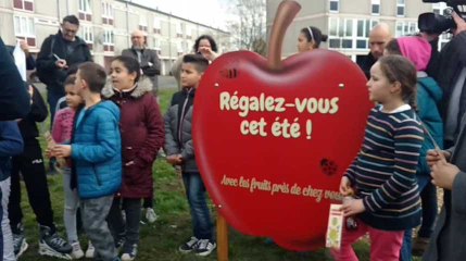 Bernissart: les enfants de la cité du Préau parrainent des arbres pour lutter contre les incivilités