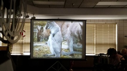 Nature's Strangest Creatures - 1959 - IB Technicolor