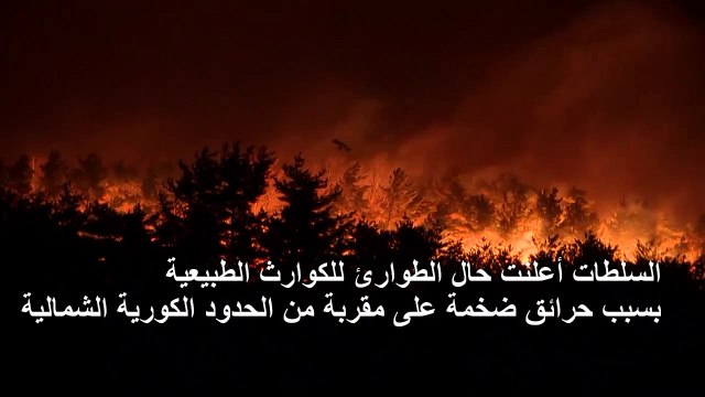حرائق غابات هائلة في كوريا الجنوبية