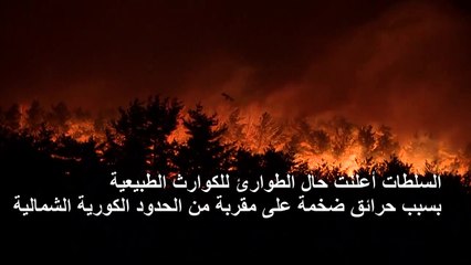 حرائق غابات هائلة في كوريا الجنوبية