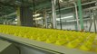 Take A Tour Of The Peeps Factory, Where More Than 5 Million Peeps Are Made Every Single Day