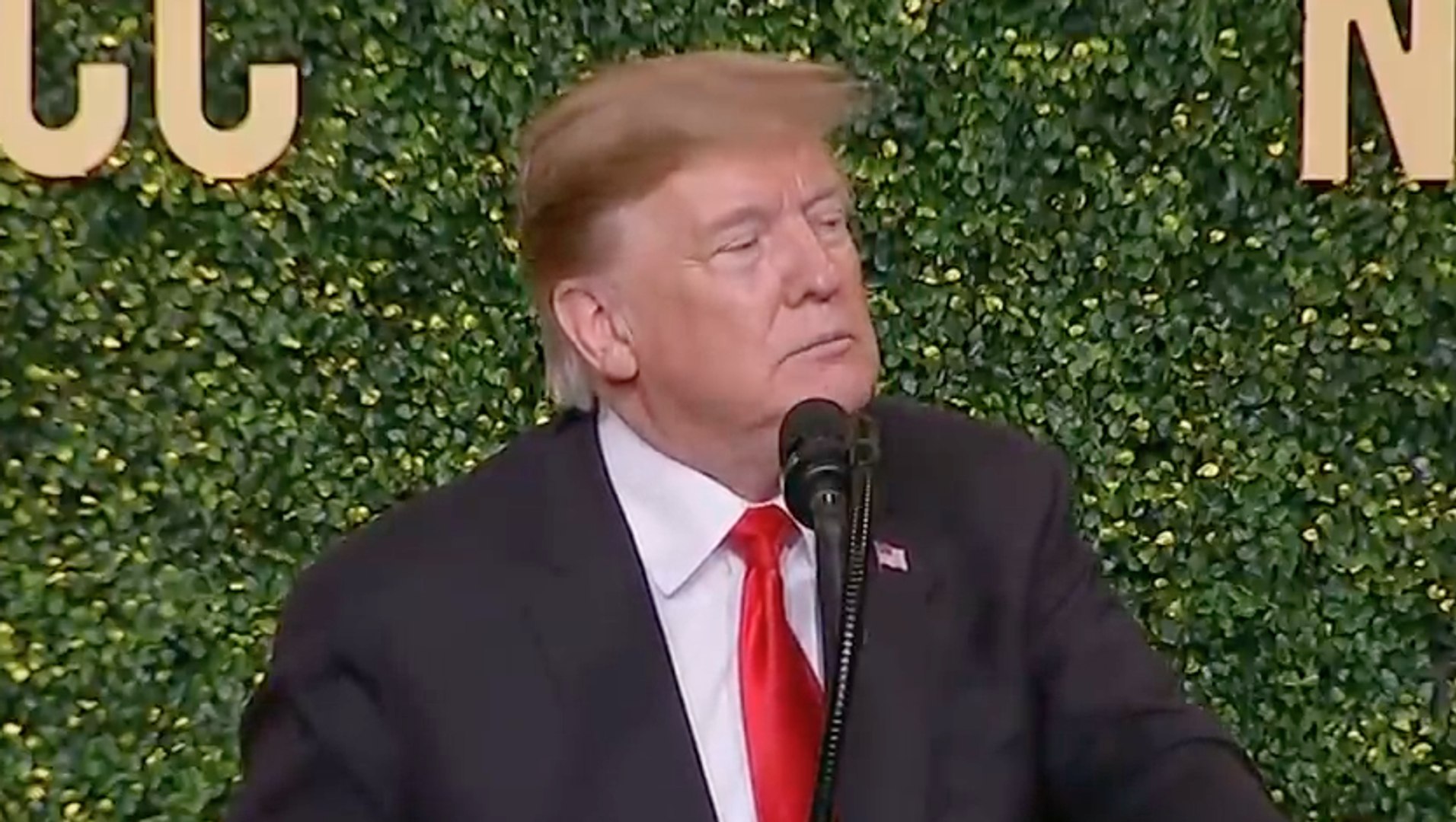 ⁣President Trump's Weird History With Windmills