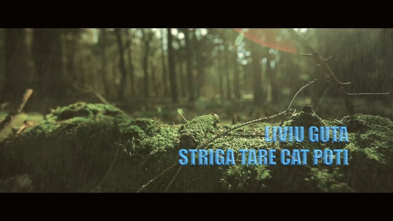 Liviu Guta - Striga tare cat poti (Manele noi 2019)