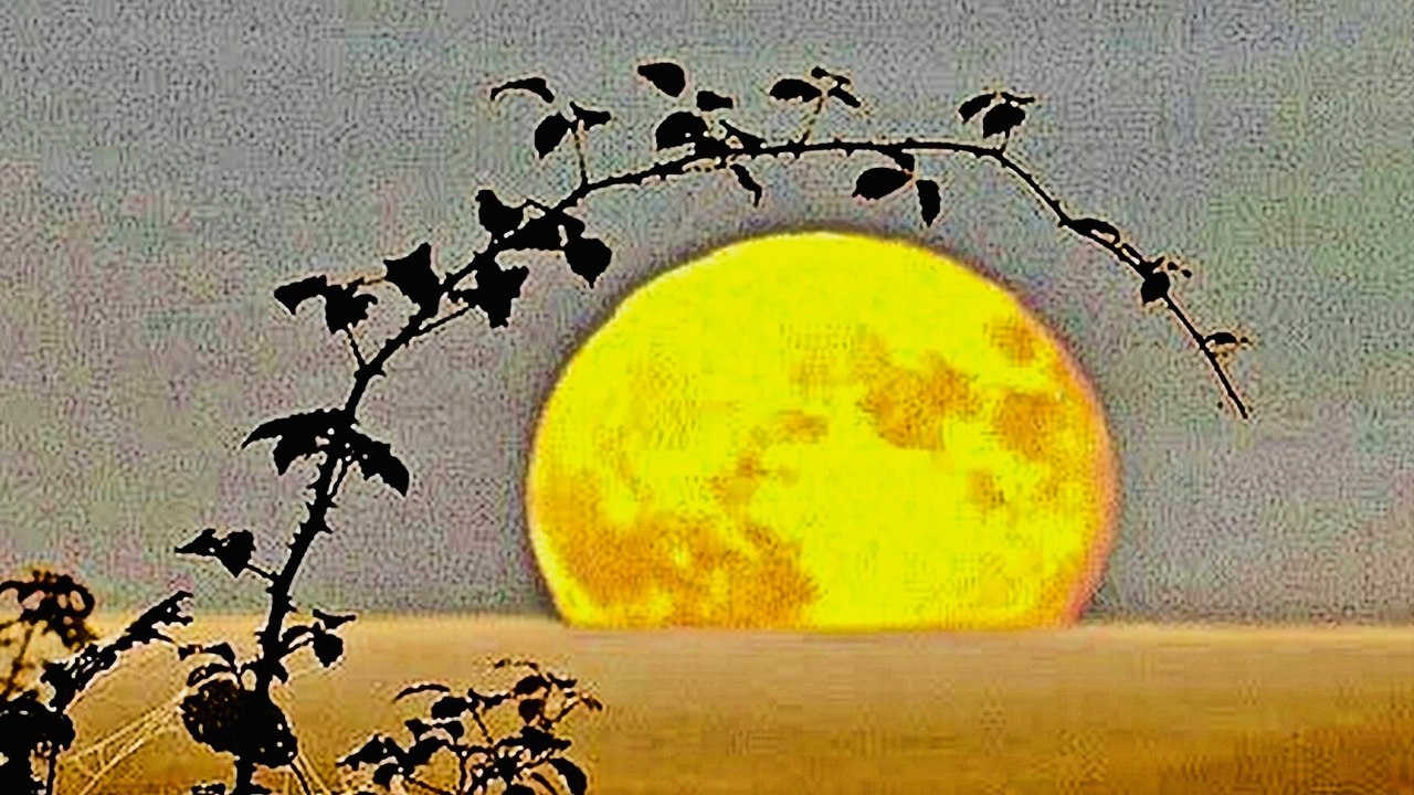 Meaning of "Harvest Moon" Explained