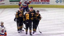 AHL Bridgeport Sound Tigers 6 at Providence Bruins 8