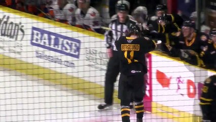 AHL Bridgeport Sound Tigers 6 at Providence Bruins 8