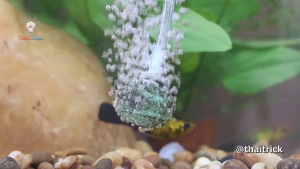 FREE ENERGY AQUARIUM AIR PUMP