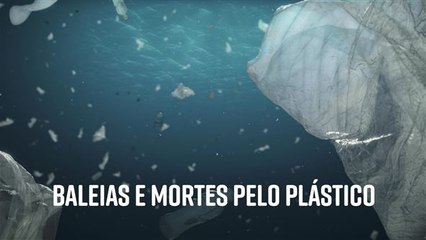 O estado de Nova Iorque bane o uso de sacolas plásticas