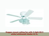 Litex WC42WW5C3F Wyman Collection 42Inch Ceiling Fan with Five Reversible Classic
