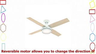 Hunter Fan Company 59252 Hunter 52 Dempsey Damp Fresh White Ceiling Fan with Light and