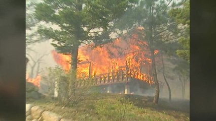 10년간 산불 4천 건 발생...3~5월 집중 / YTN